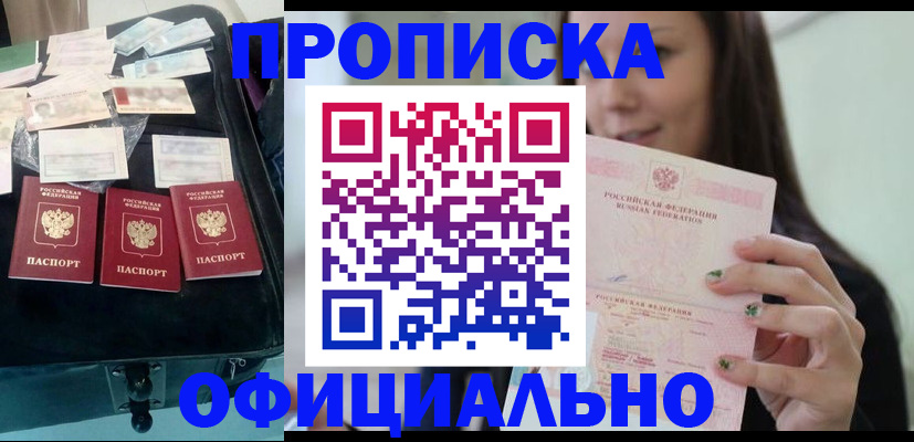 прописка законно в Сольцах